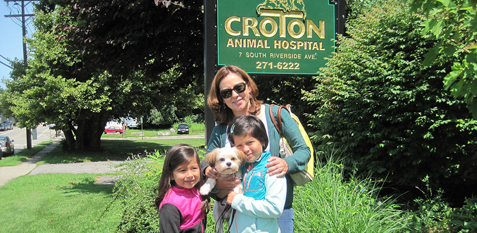 Croton Animal Hospital: Where Compassion Meets Excellence