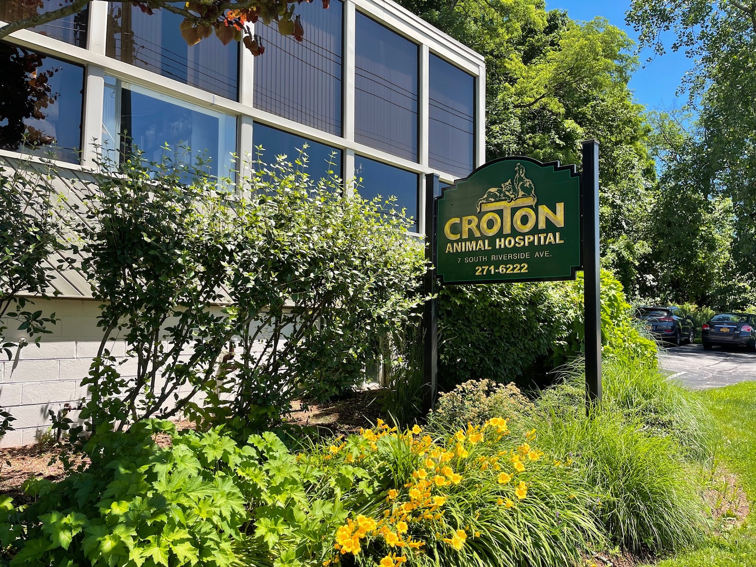 croton animal hospital near peekskill