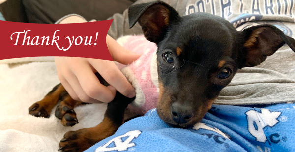 Croton Veterinarian donation to pet rescue
