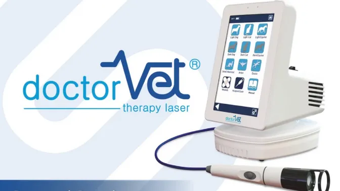 laser therapy for dogs and cats