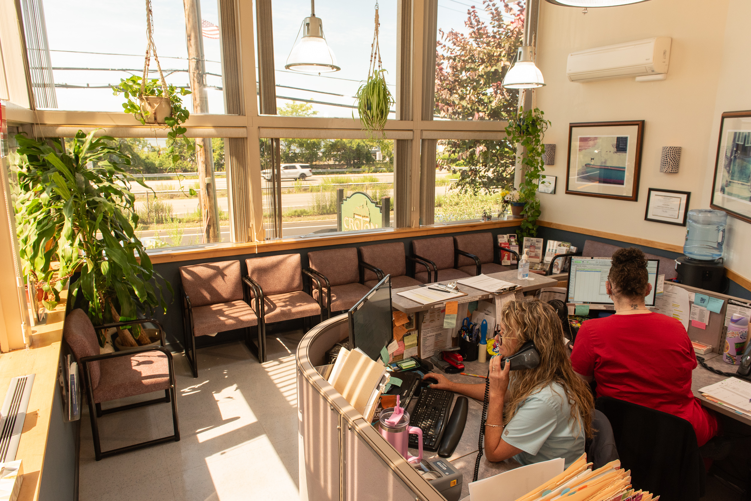 croton animal hospital friendly staff