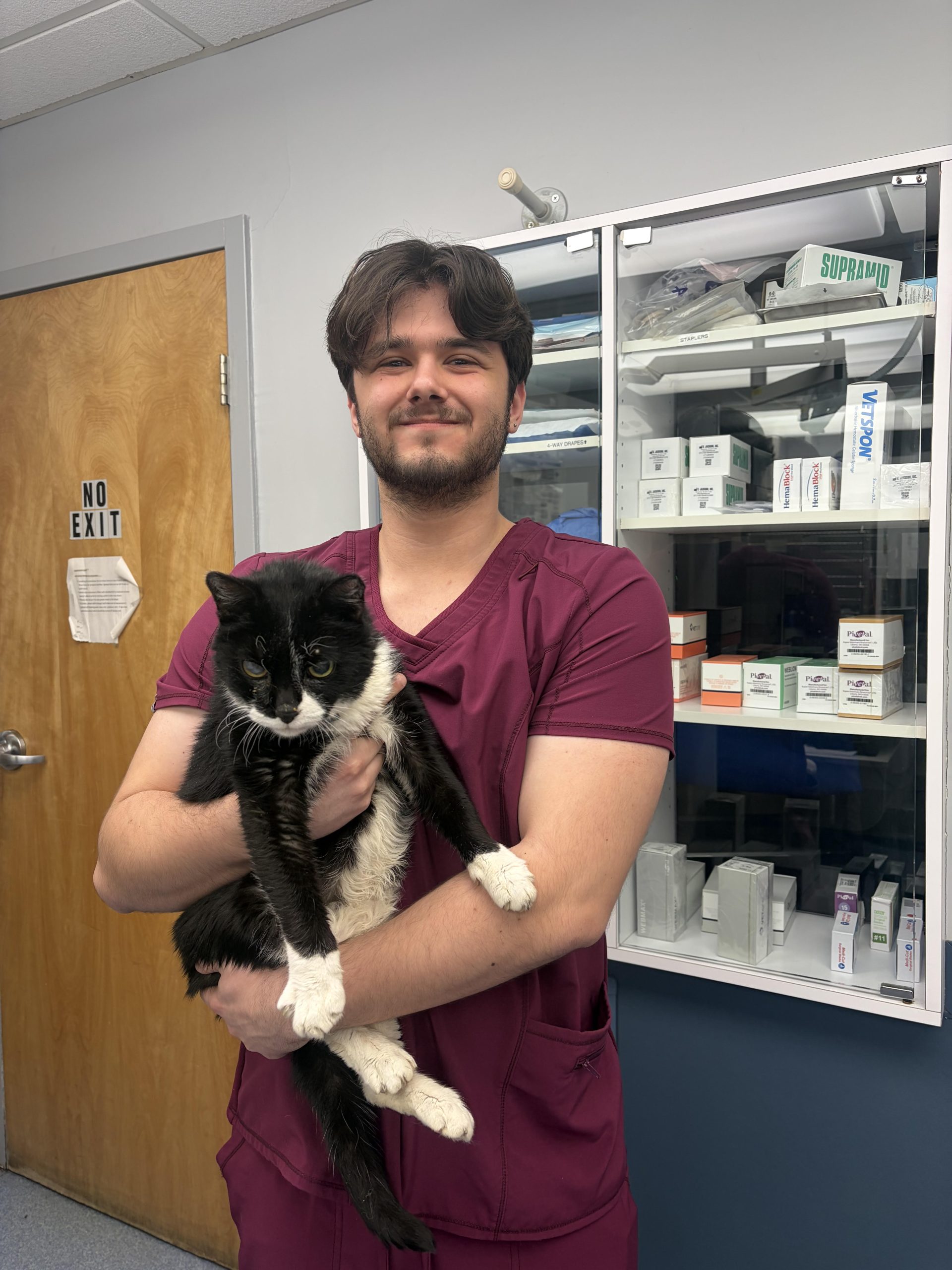 is croton animal hospital a good veterinarian?